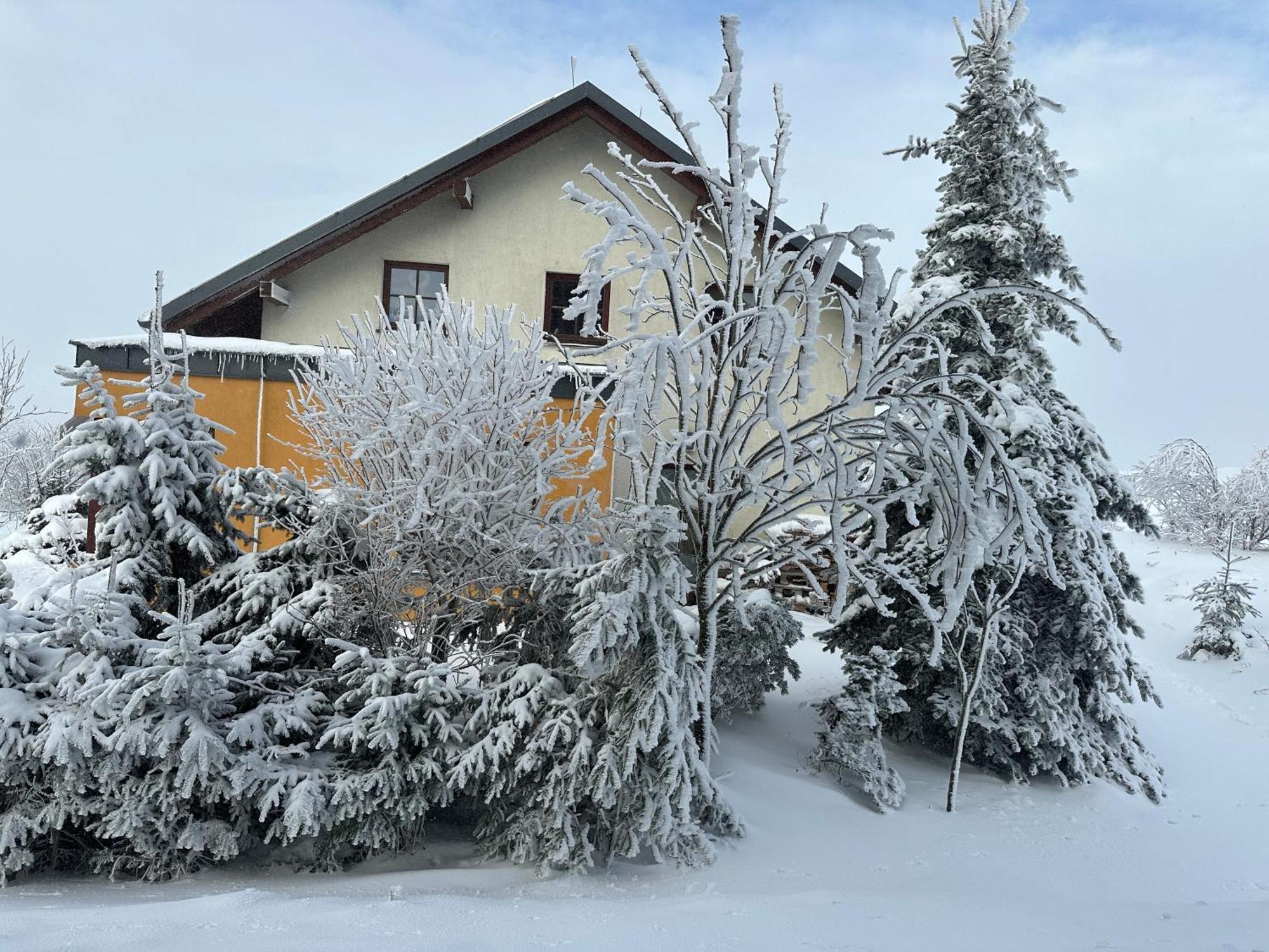 Srdecni Zalezitost Bozi Dar Villa Bagian luar foto